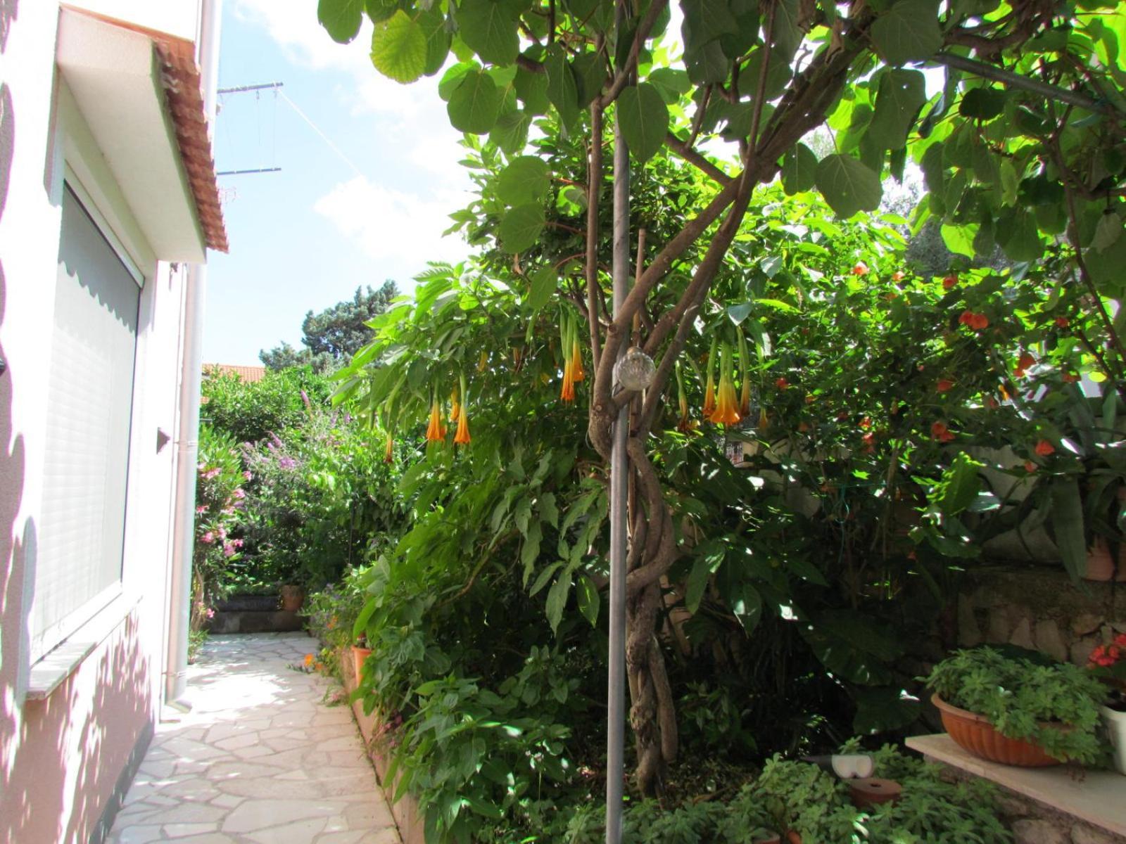 Apartments Bura & Jugo, Cres, Without Stress Exterior foto